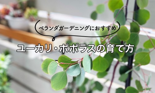 男人胸部肉太多去抽脂肪能行吗网 - 网站提供男人抽脂肪胸危险吗小常识、男人胸部脂肪多怎么减掉